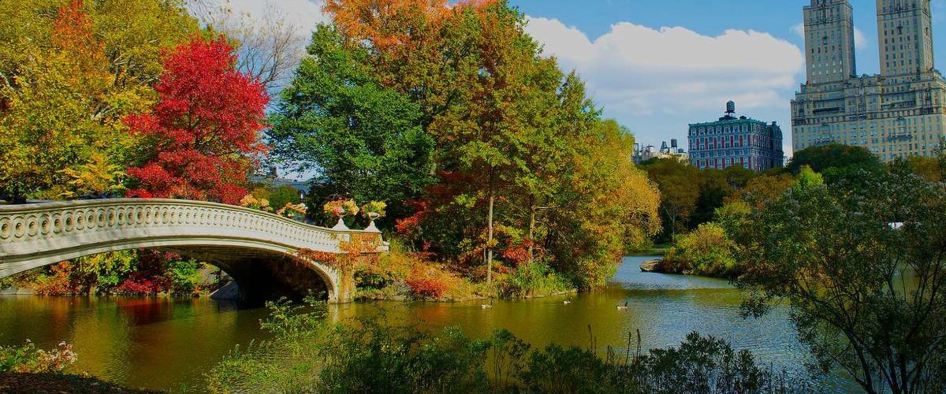 The Best Places to Retire in New York City