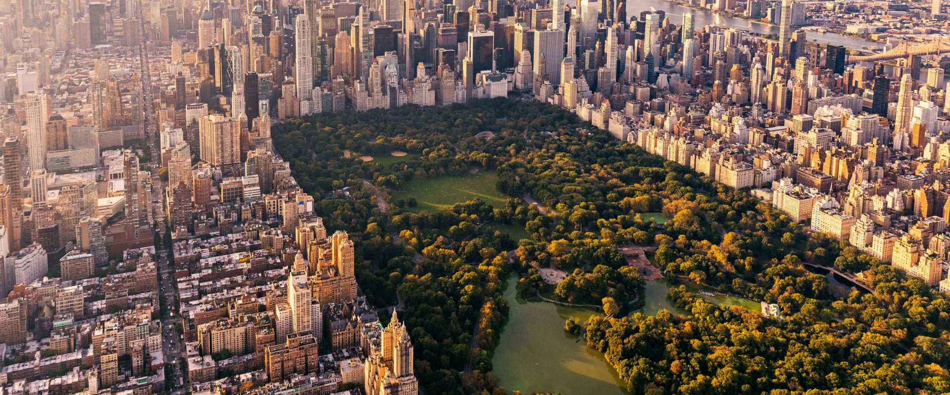 Where to Hang Out in New York City? A Guide to the Best Spots