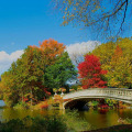 The Best Places to Retire in New York City