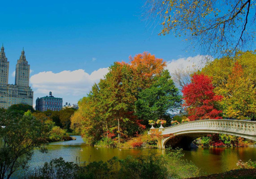 The Best Places to Retire in New York City